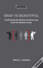 Capa do artigo Gray Is Beautiful