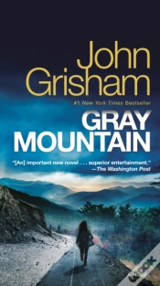 Capa do artigo Gray Mountain