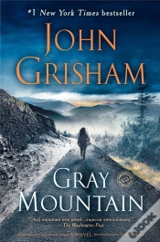 Capa do artigo Gray Mountain
