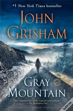 Capa do artigo Gray Mountain
