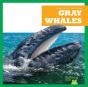 Gray Whales - Preview