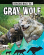 Gray Wolf - Preview