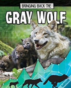 Capa do artigo Gray Wolf