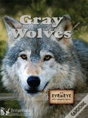 Capa do artigo Gray Wolves