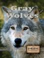 Gray Wolves - Preview