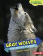 Gray Wolves - Preview