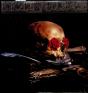 Grayfolded - Vinil - Preview
