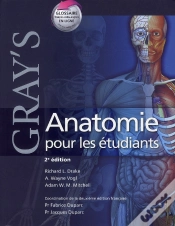 Capa do artigo Gray