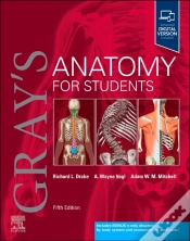 Capa do artigo Gray