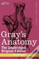 Gray'S Anatomy