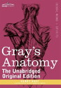Gray'S Anatomy - Preview