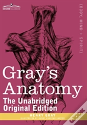 Gray'S Anatomy