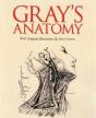 Gray'S Anatomy - Preview
