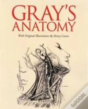 Capa do artigo Gray