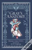 Gray'S Anatomy