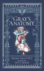 Gray'S Anatomy - Preview
