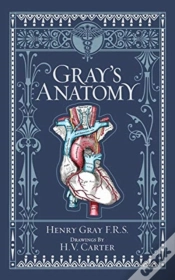 Capa do artigo Gray