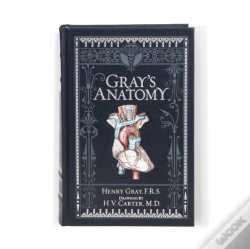 Capa do artigo Gray'S Anatomy