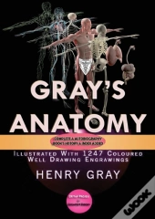 Gray'S Anatomy