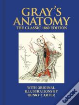 Gray'S Anatomy