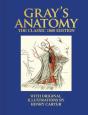 Gray'S Anatomy - Preview