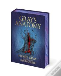 Gray'S Anatomy
