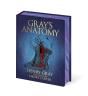 Gray'S Anatomy - Preview