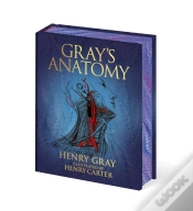 Capa do artigo Gray