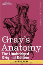 Gray'S Anatomy - Preview