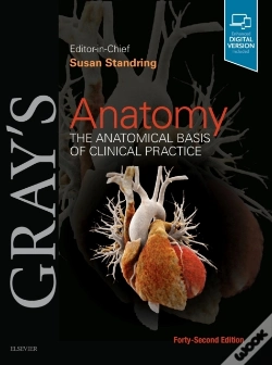 Capa do artigo Gray'S Anatomy
