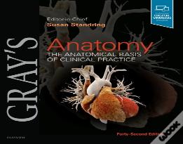 Gray'S Anatomy