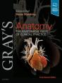 Gray'S Anatomy - Preview