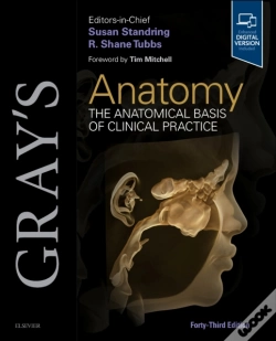 Capa do artigo Gray'S Anatomy