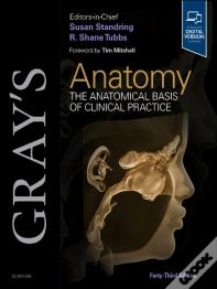 Gray'S Anatomy