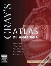 Capa do artigo Gray