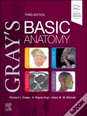 Capa do artigo Gray