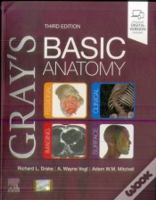 Capa do artigo Gray