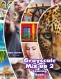 Grayscale Mix-Up 2 Coloring Book - Preview