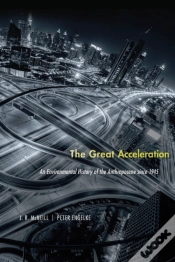 Capa do artigo Great Acceleration