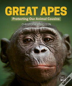 Capa do artigo Great Apes