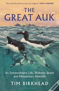 Capa do artigo Great Auk
