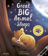 Great Big Animal Sleeps