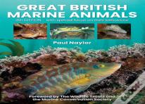 Great British Marine Animals