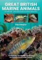 Great British Marine Animals - Preview