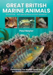 Capa do artigo Great British Marine Animals