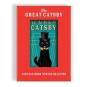 Great Catsby Vintage Book Stress Reliever - Preview