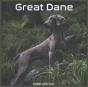 Great Dane Calendar 2022 - Preview