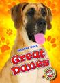 Great Danes - Preview
