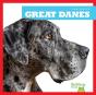 Great Danes - Preview