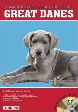 Capa do artigo Great Danes